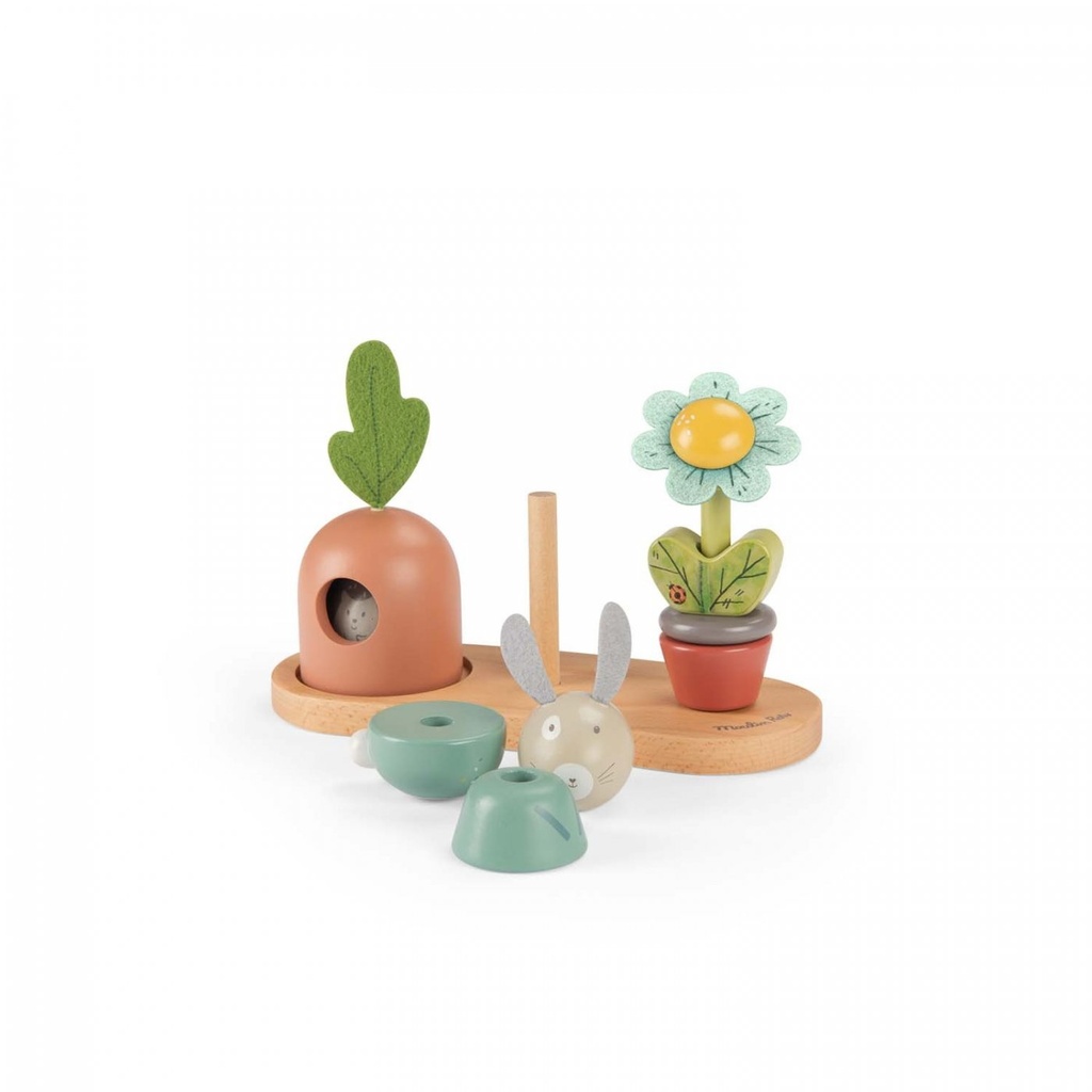 Vue 5