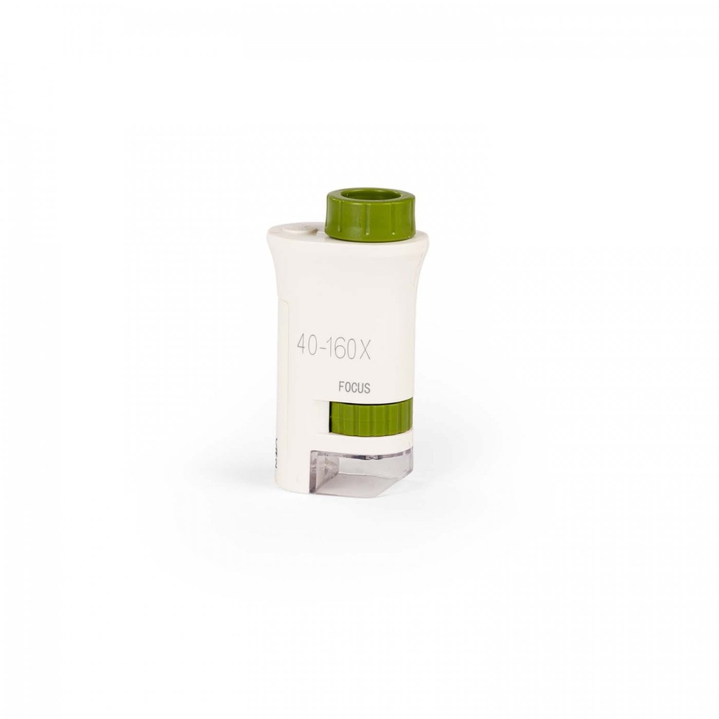 Vue 5