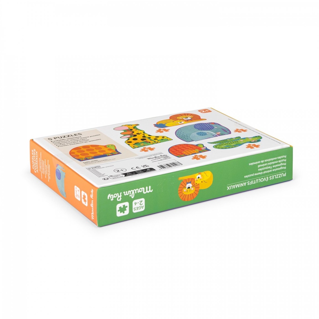 Vue 5