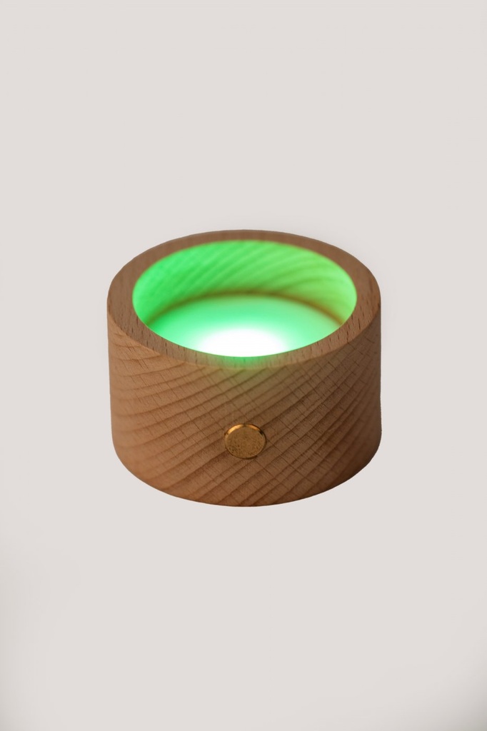 Vue 5