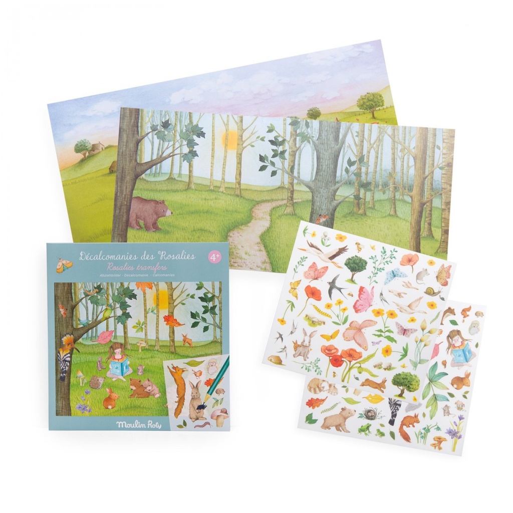 Vue 5