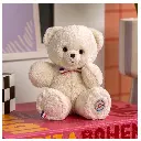 FR8033-Le nounours français latte-l'ours français-4.webp