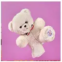 FR8033-Le nounours français latte-l'ours français-2.webp
