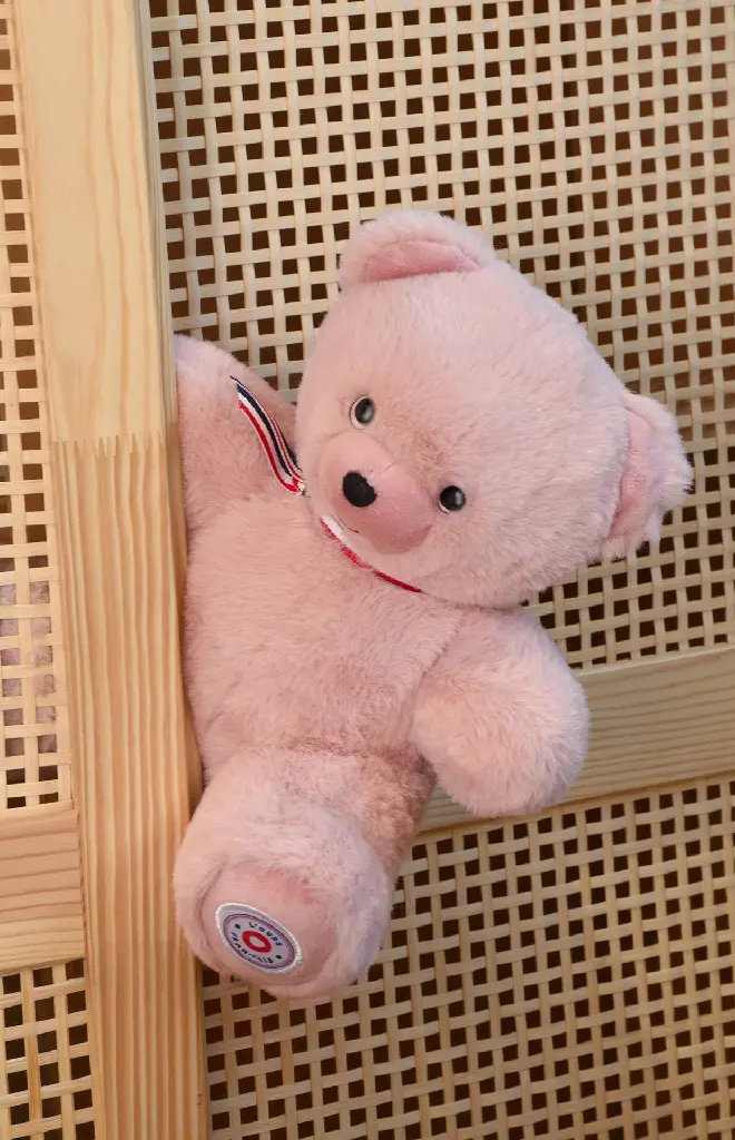 FR8038-peluche petit ours français 25 cm rose - L'ours Français-5.webp