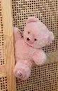 FR8038-peluche petit ours français 25 cm rose - L'ours Français-5.webp