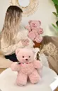 FR8038-peluche petit ours français 25 cm rose - L'ours Français-3.webp