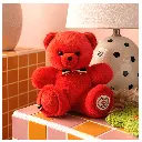 FR8066-Le NOUNOURS Français 19cm – Hibiscus - L'ours français-4.webp