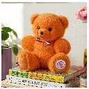 FR8068-Le NOUNOURS Français 19cm – Mandarine-l'ours français-3.webp