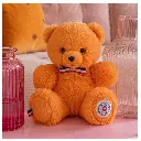 FR8068-Le NOUNOURS Français 19cm – Mandarine-l'ours français-4.webp
