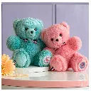 Le NOUNOURS Français 19cm – Lagon-l'ours français-4.webp