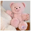 FR8047-Ours Français articulé 35 cm – Rose - L'Ours Français-1.webp