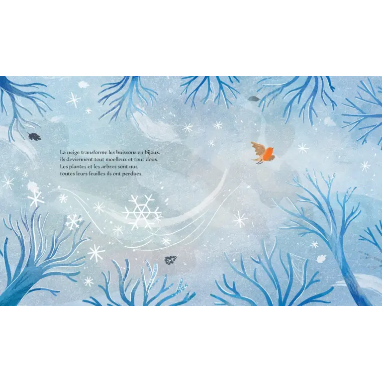 310759-livre l'hiver-sassi editions-2.webp