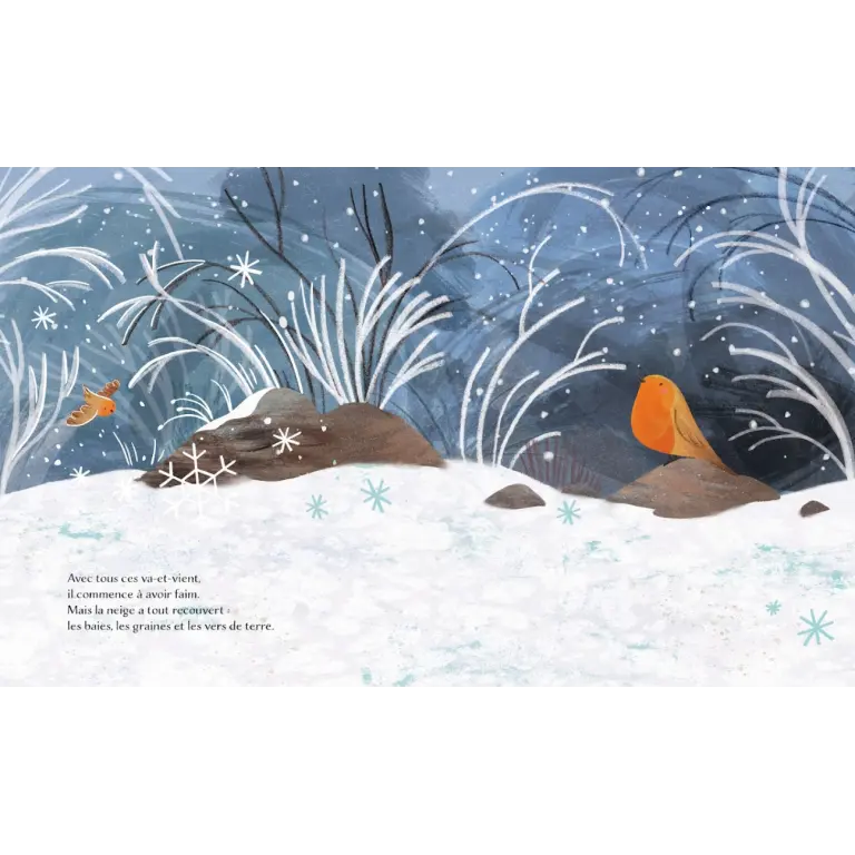 310759-livre l'hiver-sassi editions-1.webp