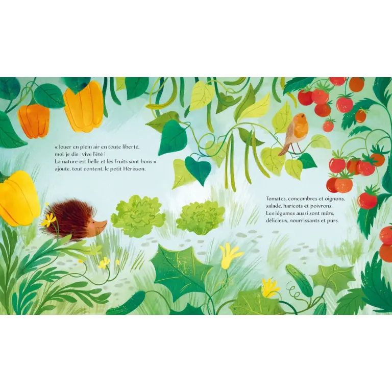 311855-livre l'été-sassi éditions-2.webp