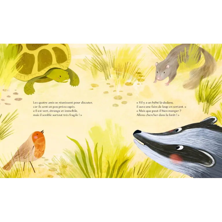 311855-livre l'été-sassi éditions-1.webp