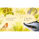 311855-livre l'été-sassi éditions-1.webp
