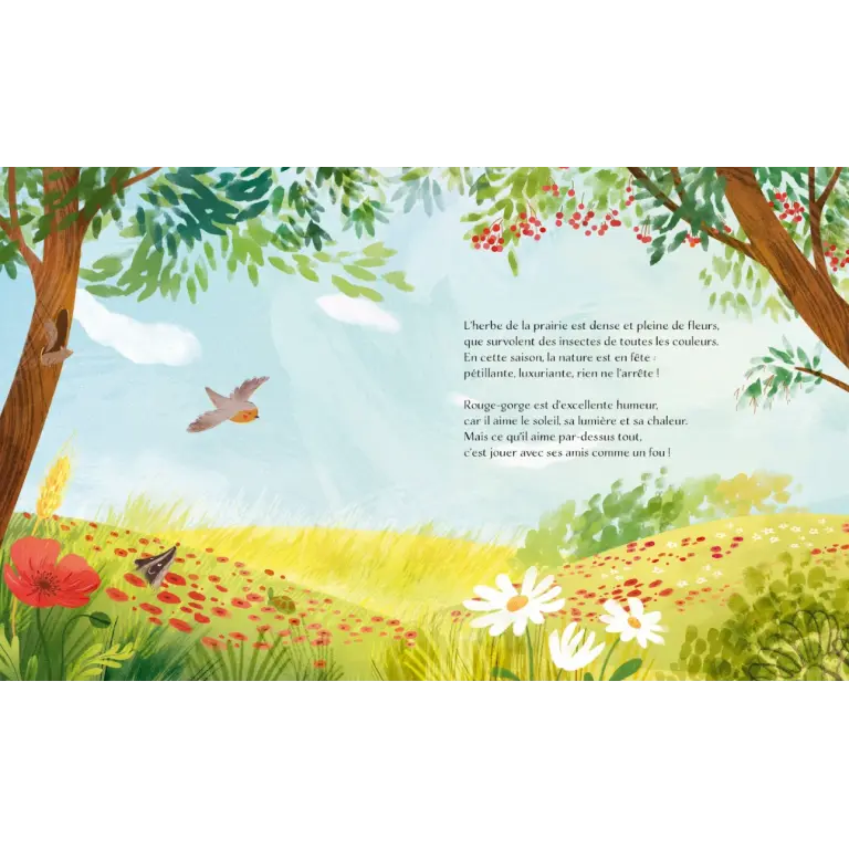 311855-livre l'été-sassi éditions-3.webp