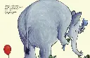 894161-Mon-ballon-l'école des loisirs-5.webp