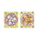j07992-4 tableaux peintures arc en ciel mandala-janod-3.webp