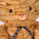 MA0341-peluche chat rooxy Méloé 37 cm-mailou tradition-3.webp