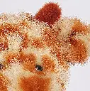 MA0363-peluche girafe gizou 37 cm-mailou tradition-5.webp