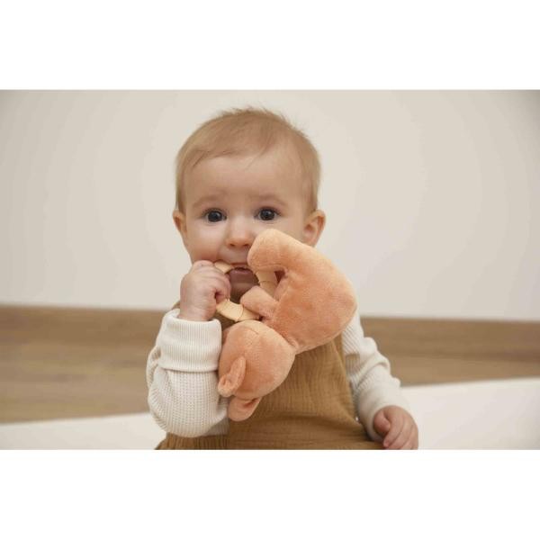 Peluche anneau de dentition écureuil - Kaloo