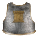 Déguisement Armure Roland - Souza