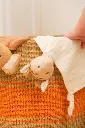 120816_16.webp