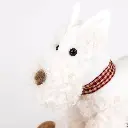 591036-4.webp