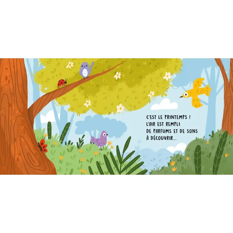 331136-Livre sonore Le printemps-Sassi-4.webp