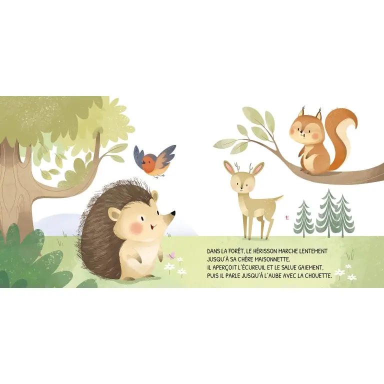 331327-livre jour et nuit la forêt-sassi-2.webp