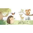 331327-livre jour et nuit la forêt-sassi-2.webp