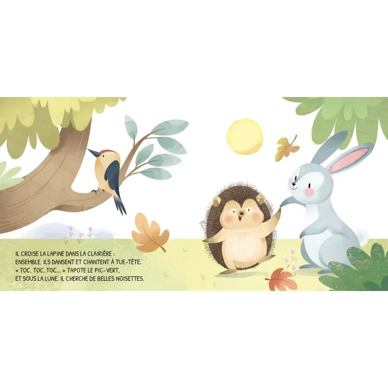 331327-livre jour et nuit la forêt-sassi-3.webp