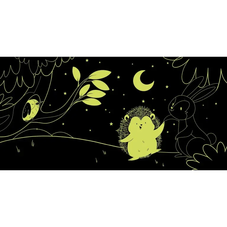 331327-livre jour et nuit la forêt-sassi-4.webp