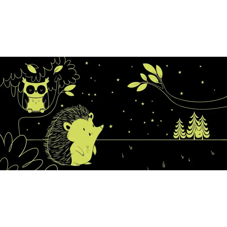 331327-livre jour et nuit la forêt-sassi-1.webp