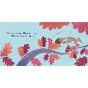 357846-glisse-et-decouvre-la-foret-sassi-3.webp