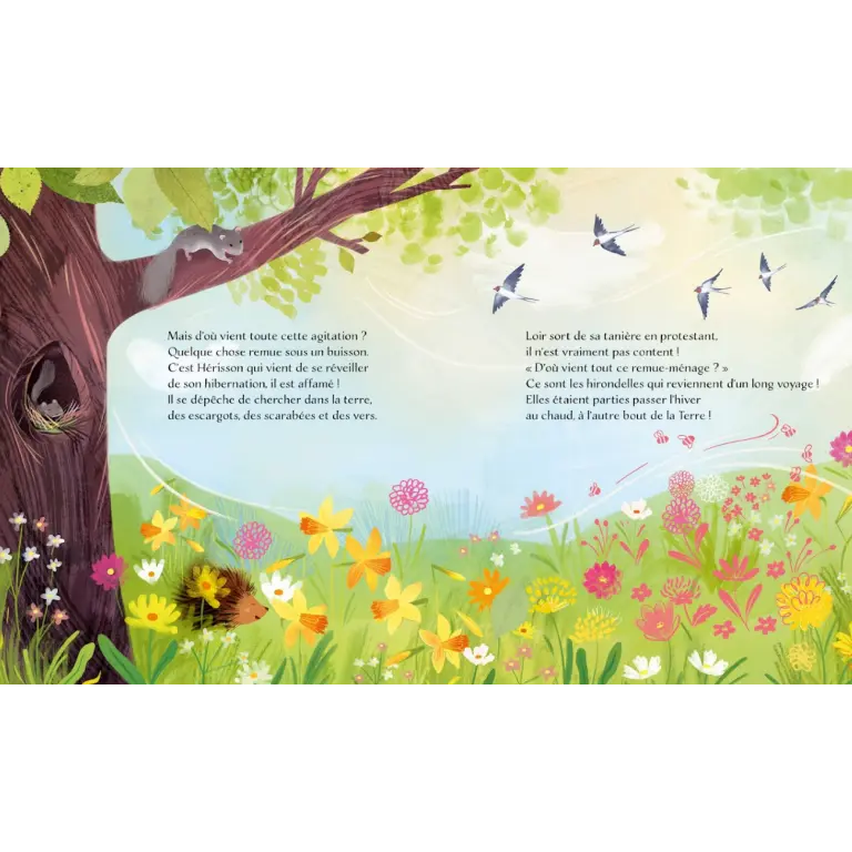 311701-printemps-sassi-2.webp