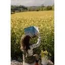 311701-printemps-sassi-7.webp