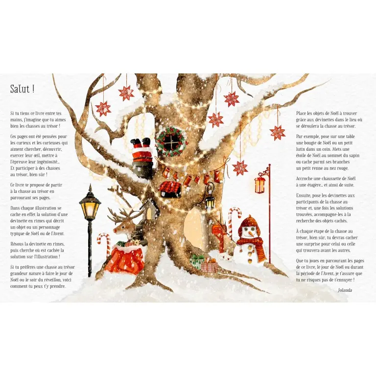 315631-cherche-et-trouve-noel-dans-la-foret-sassi-1.webp