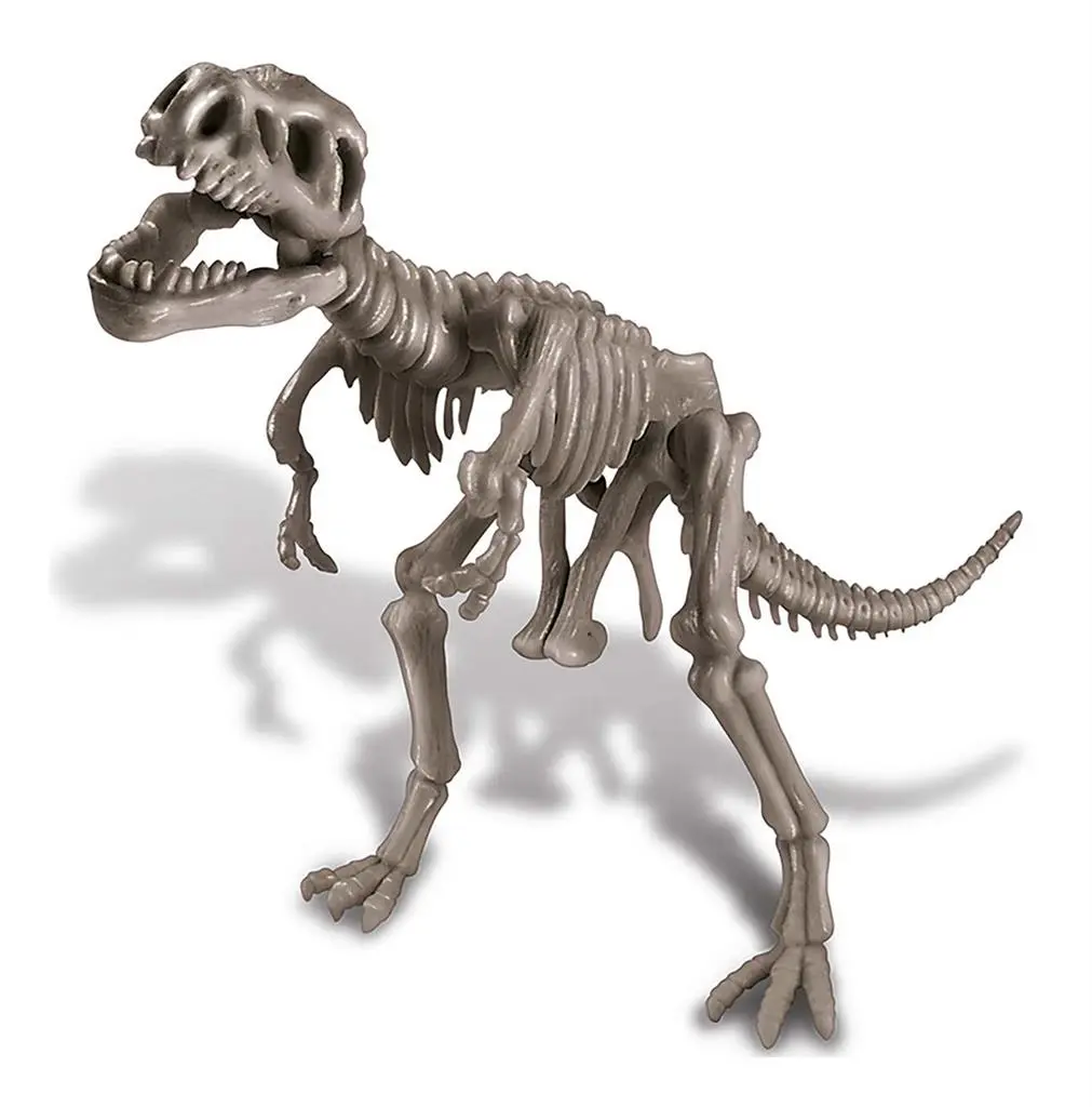 5663221-Déterre Ton Dinosaure - Tyranosaurus Rex - 4M Kidzlabs-1.webp