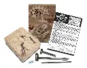 5663228-déterre ton dino tricératops-4m-5.webp