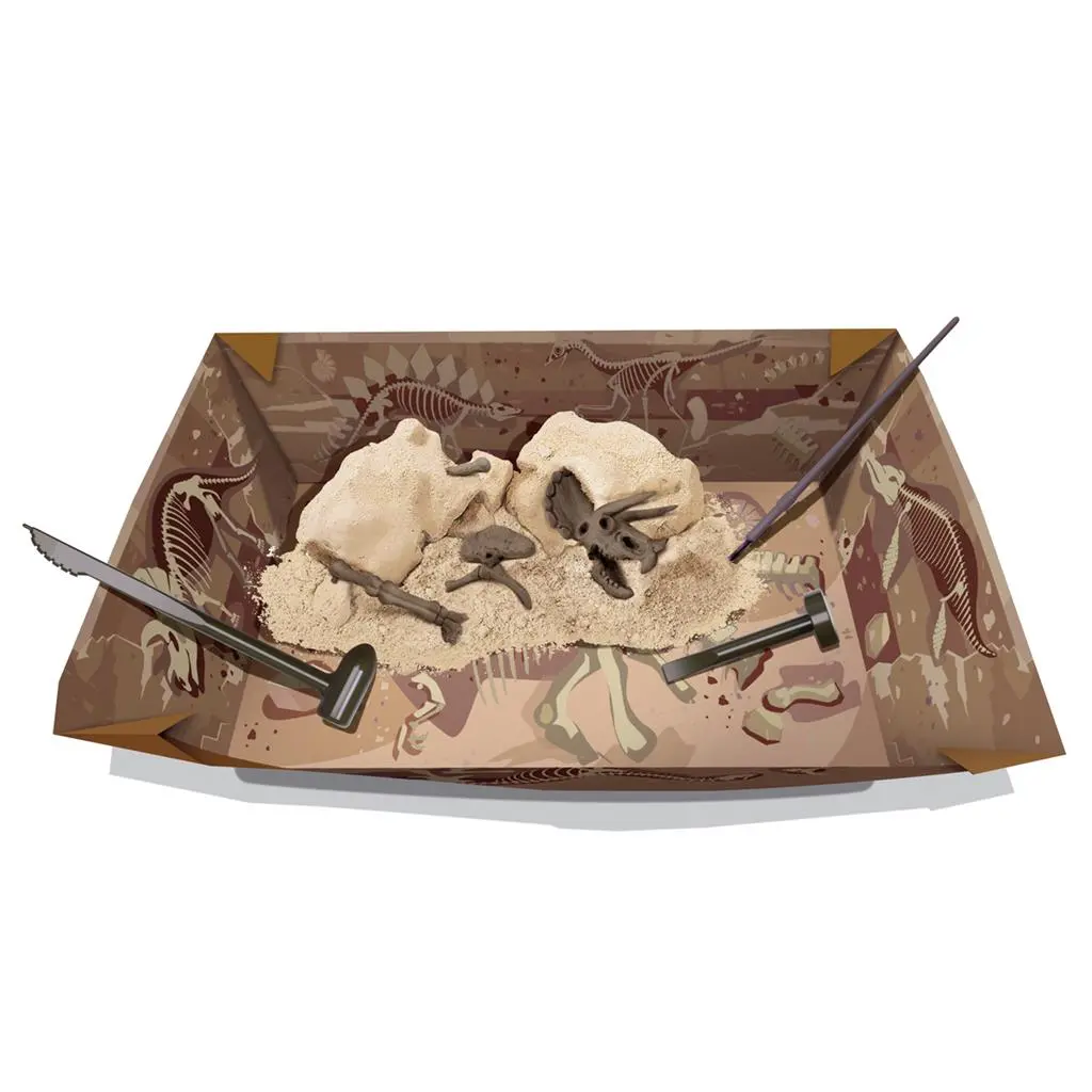 5663228-déterre ton dino tricératops-4m-8.webp