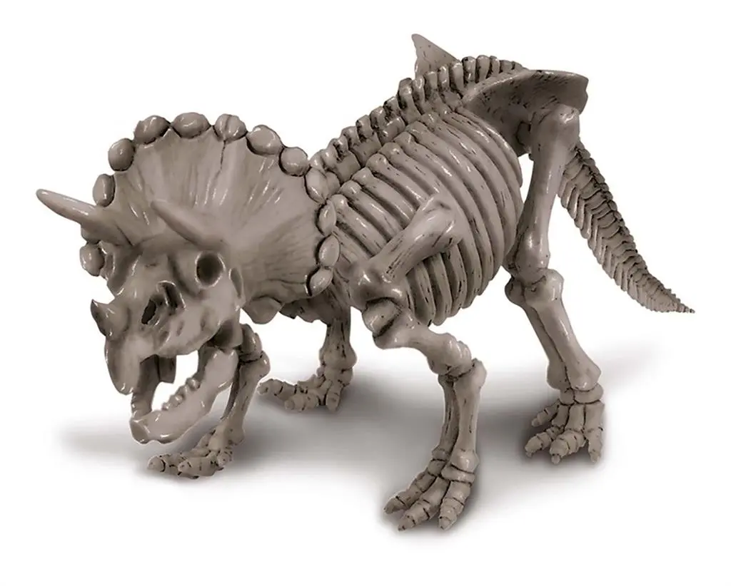 5663228-déterre ton dino tricératops-4m-2.webp