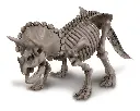 5663228-déterre ton dino tricératops-4m-2.webp