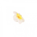 Anneau de dentition Fleur d'Hawaï en caoutchouc naturel - Oli & Carol