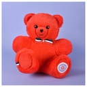 Le NOUNOURS Français 19cm – Hibiscus - L'ours français